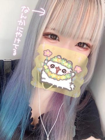 渡瀬ひかり プロフィール