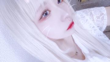 美谷のい プロフィール