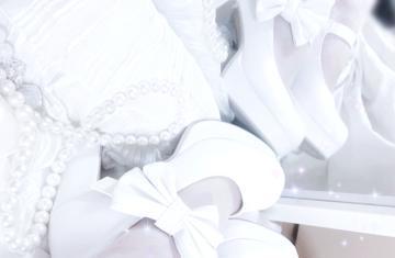 美谷のい プロフィール