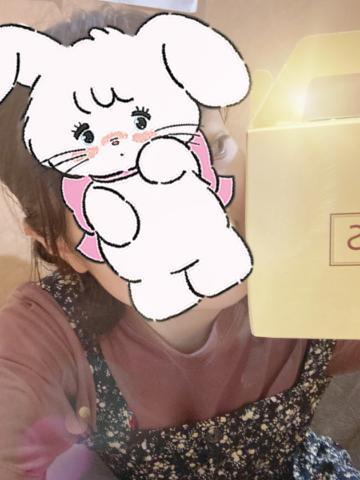 秋山のん プロフィール