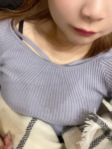 金森ゆうこ プロフィール