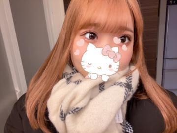 金森ゆうこ プロフィール