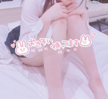 坂本みな プロフィール